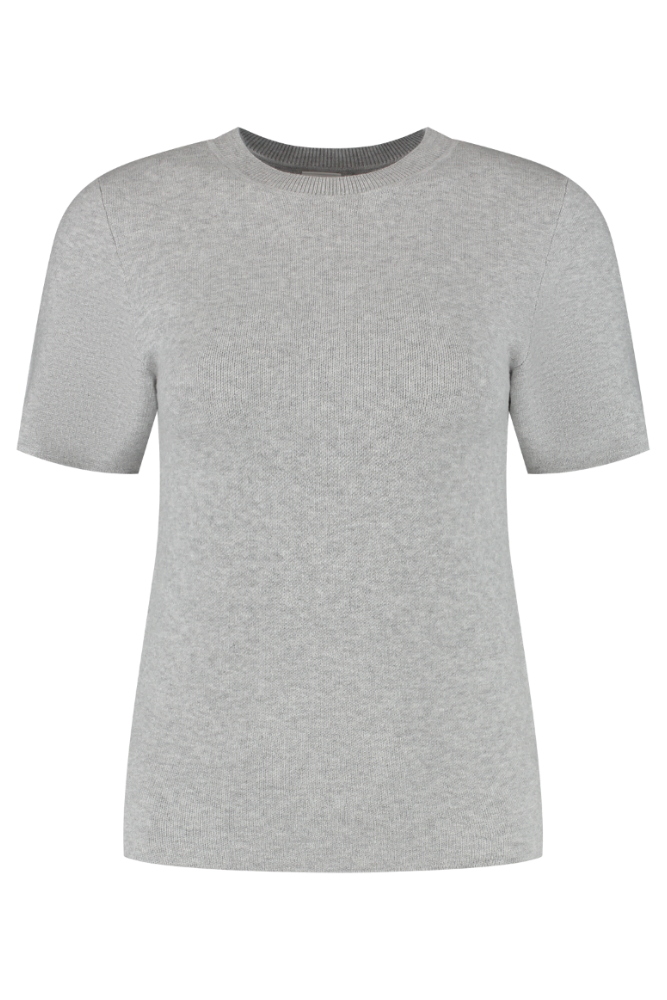 Olly Regular Short Sleeve Tee - Grey Melange